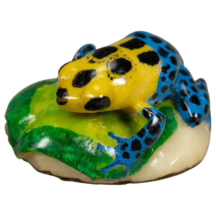 Blue And Yellow Poison Dart Frog Tagua Carving