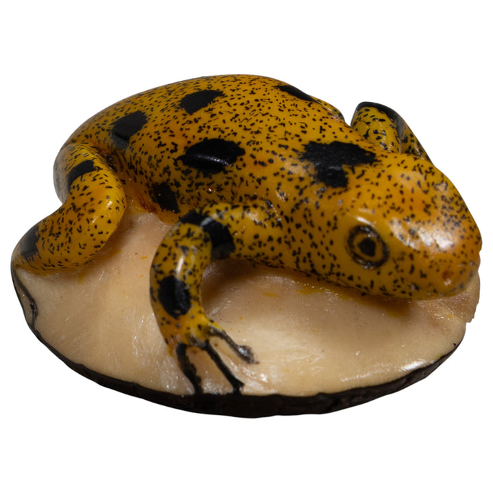 Vintage Gold And Black Frog Tagua Carving