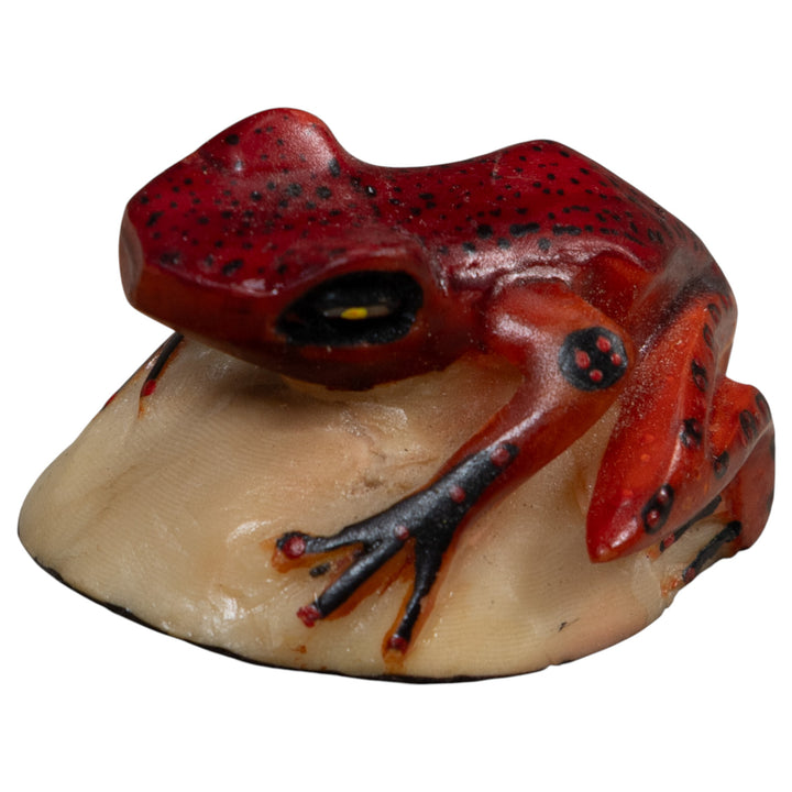 Vintage Red And Black Poison Dart Frog Tagua Carving