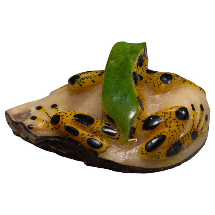 Poison Dart Frog Tagua Carving