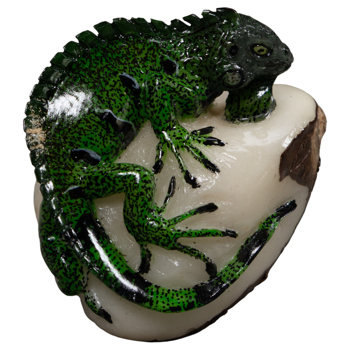 Iguana Lizard Reptile Tagua Carving