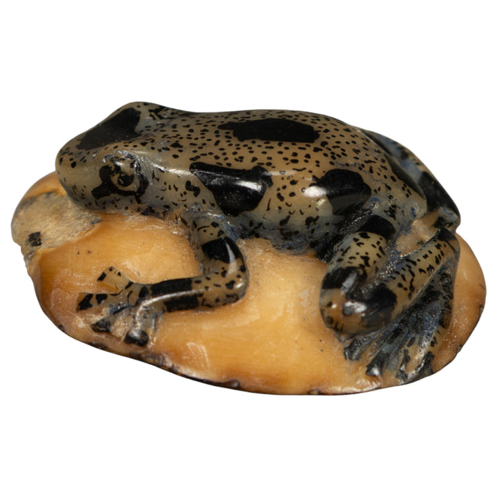 Translucent And Black Poison Dart Frog Tagua Carving