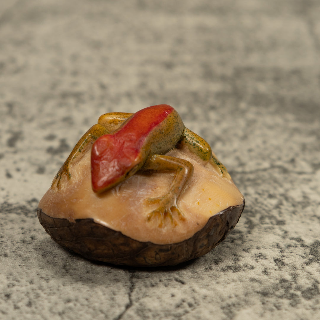 Red Stripped gecko Tagua Carving