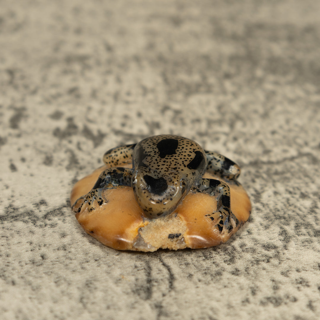Translucent And Black Poison Dart Frog Tagua Carving