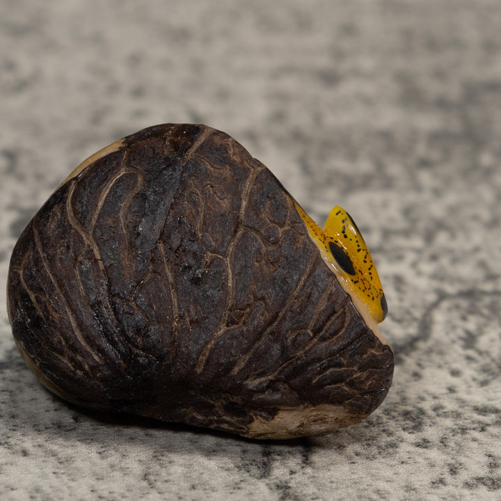 Green Yellow And Black Poison Dart Frog Tagua Carving