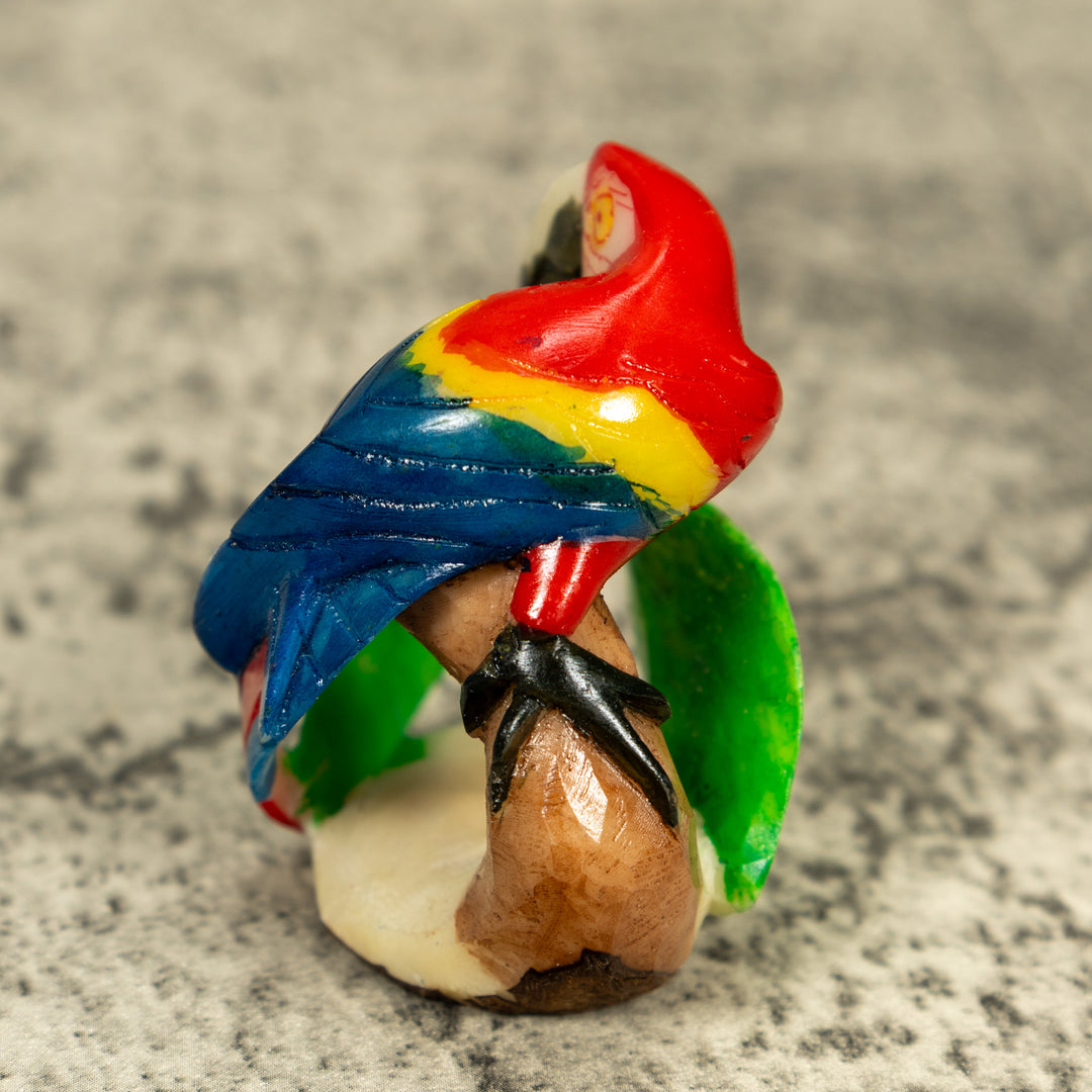 Macaw Parrot Bird Tagua Carving