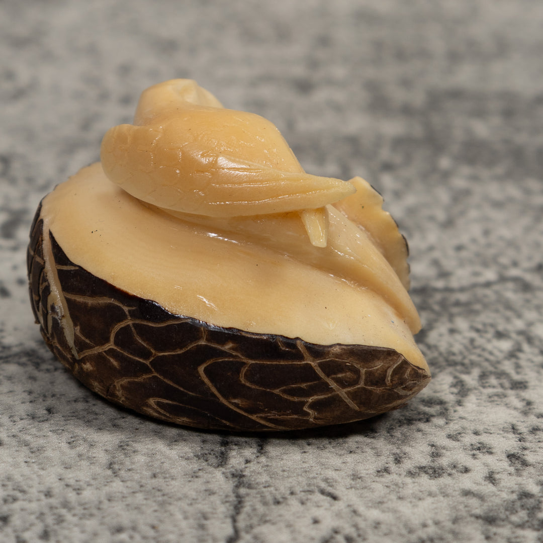 Vintage White Parrot Bird Tagua Carving