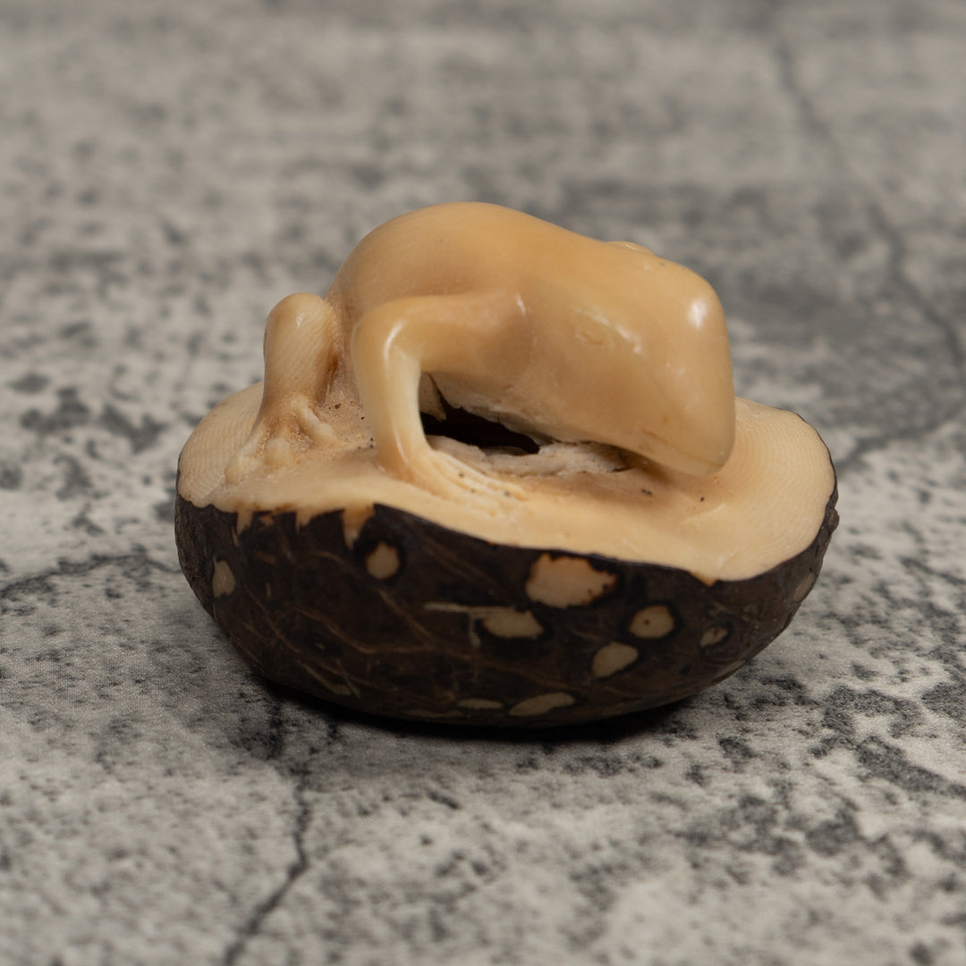 Vintage Natural White FrogTagua Carving
