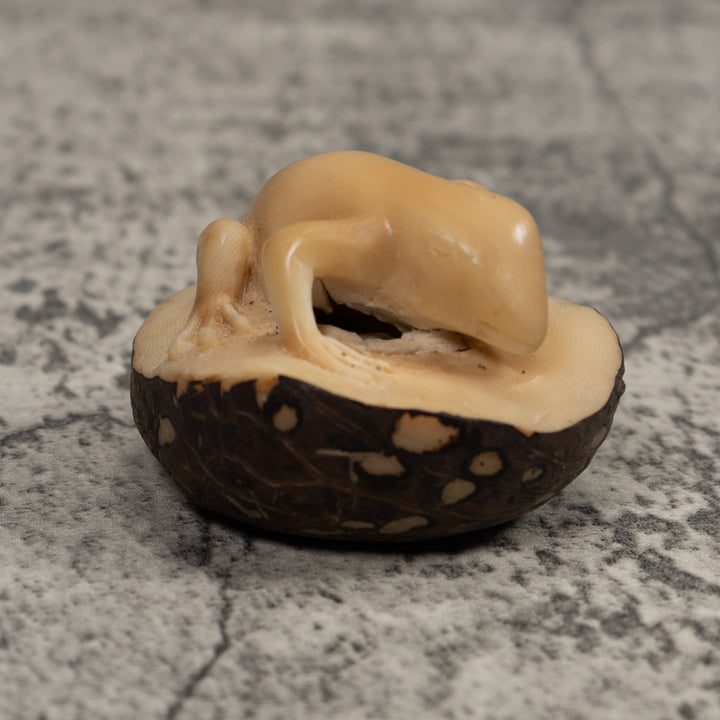 Vintage Natural White FrogTagua Carving