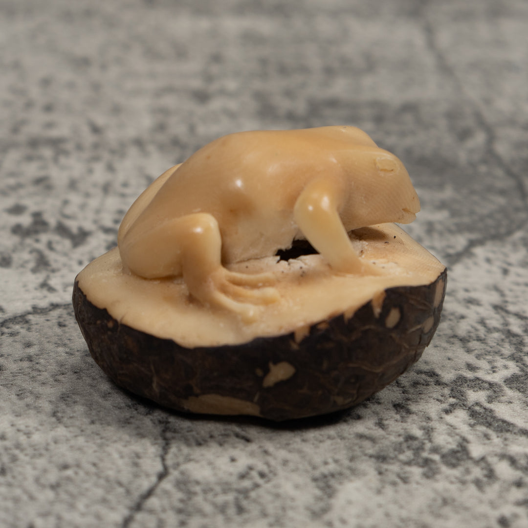 Vintage Natural White FrogTagua Carving