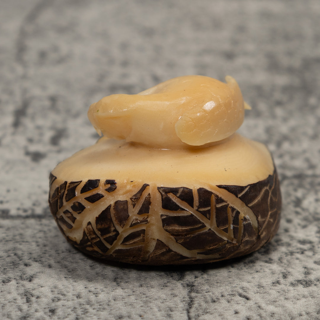 Vintage White Parrot Bird Tagua Carving