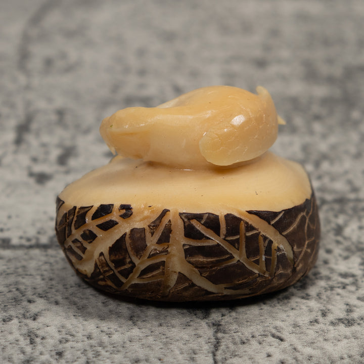 Vintage White Parrot Bird Tagua Carving