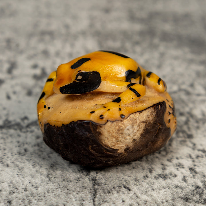 Vintage Black And Gold Poison Dart Frog Tagua Carving