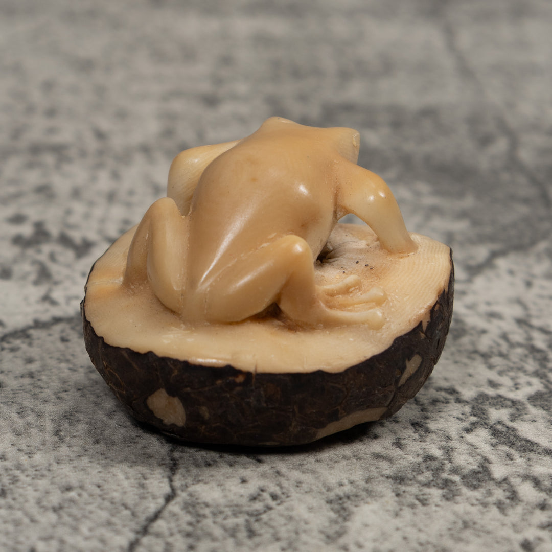 Vintage Natural White FrogTagua Carving
