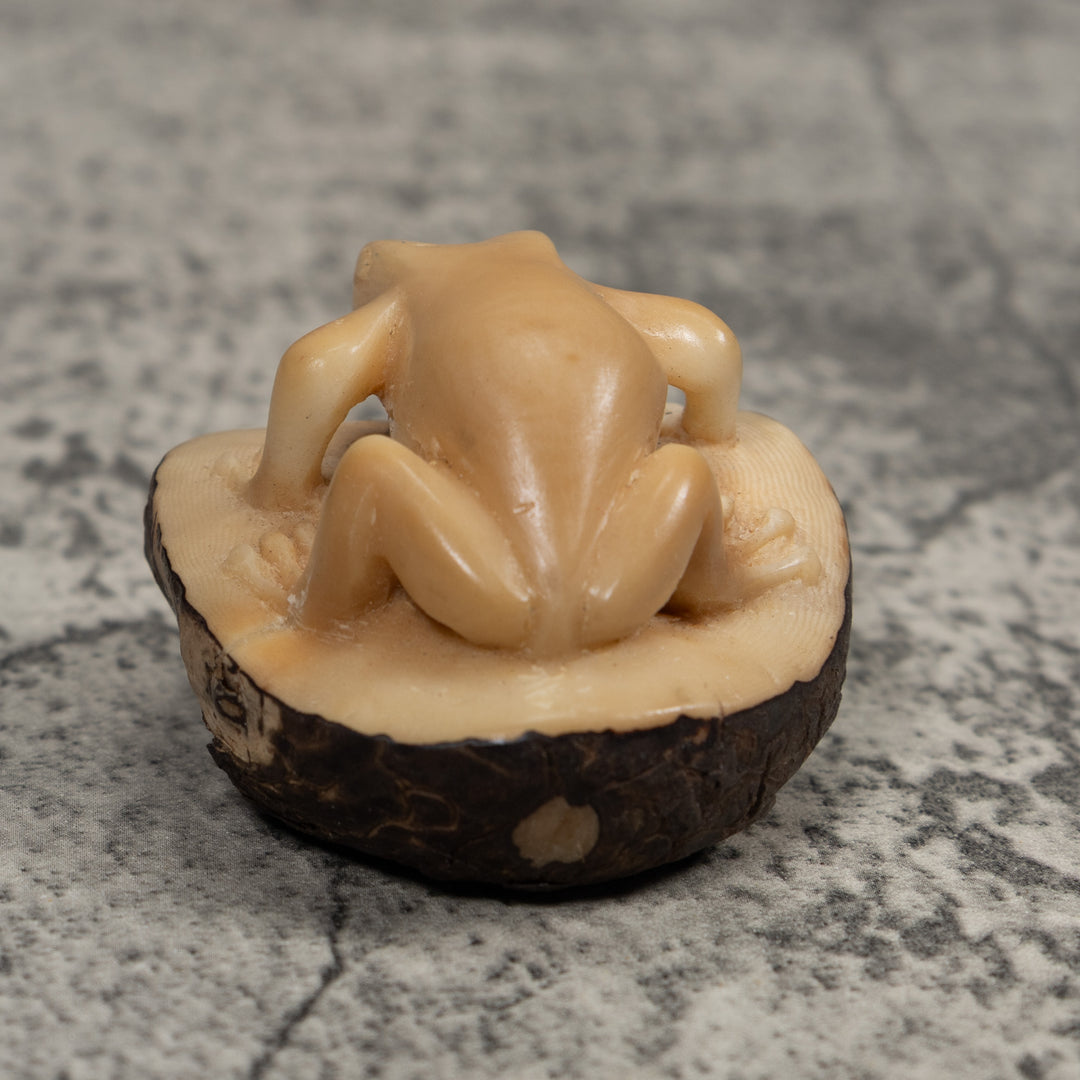 Vintage Natural White FrogTagua Carving