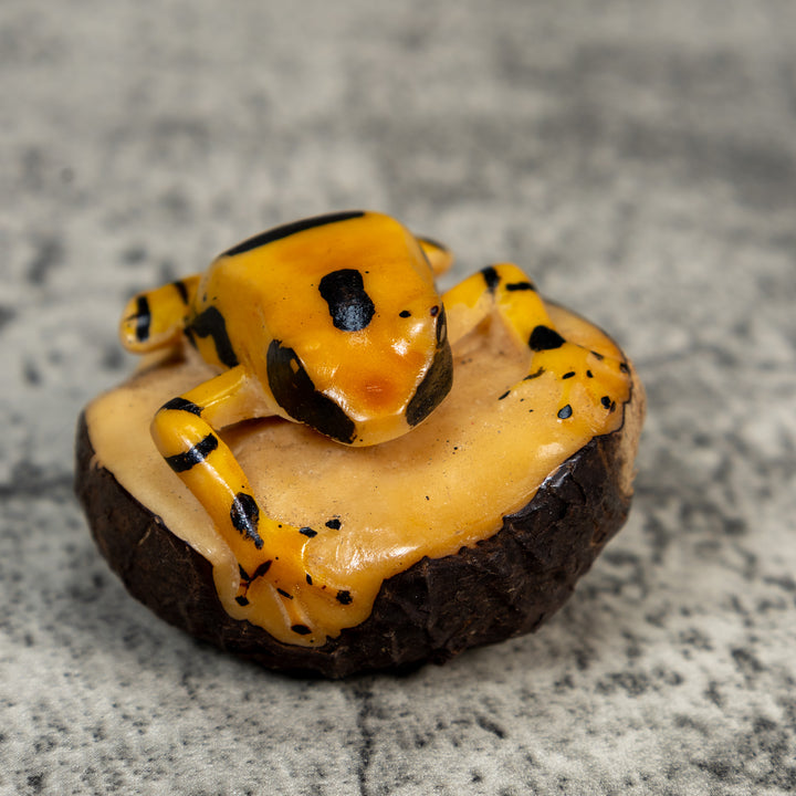 Vintage Black And Gold Poison Dart Frog Tagua Carving