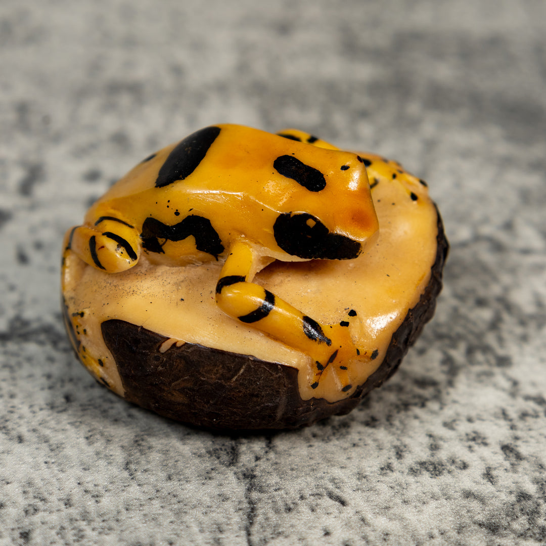 Vintage Black And Gold Poison Dart Frog Tagua Carving