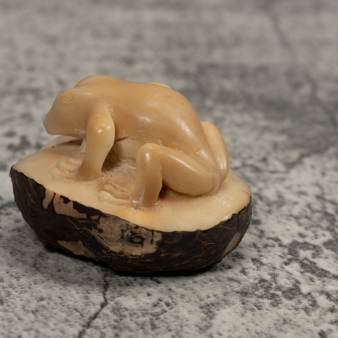 Vintage Natural White FrogTagua Carving