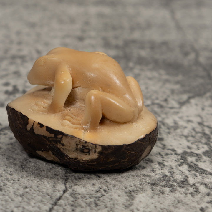 Vintage Natural White FrogTagua Carving