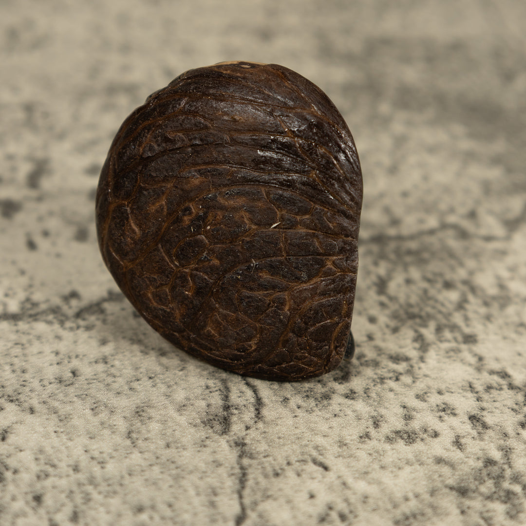 Vintage Feathered Hawk Bird Tagua Carving