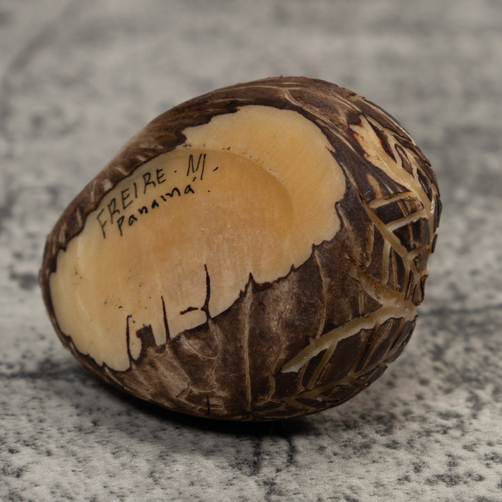 Vintage White Parrot Bird Tagua Carving