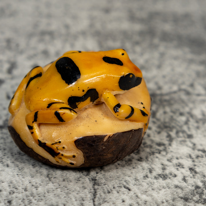 Vintage Black And Gold Poison Dart Frog Tagua Carving