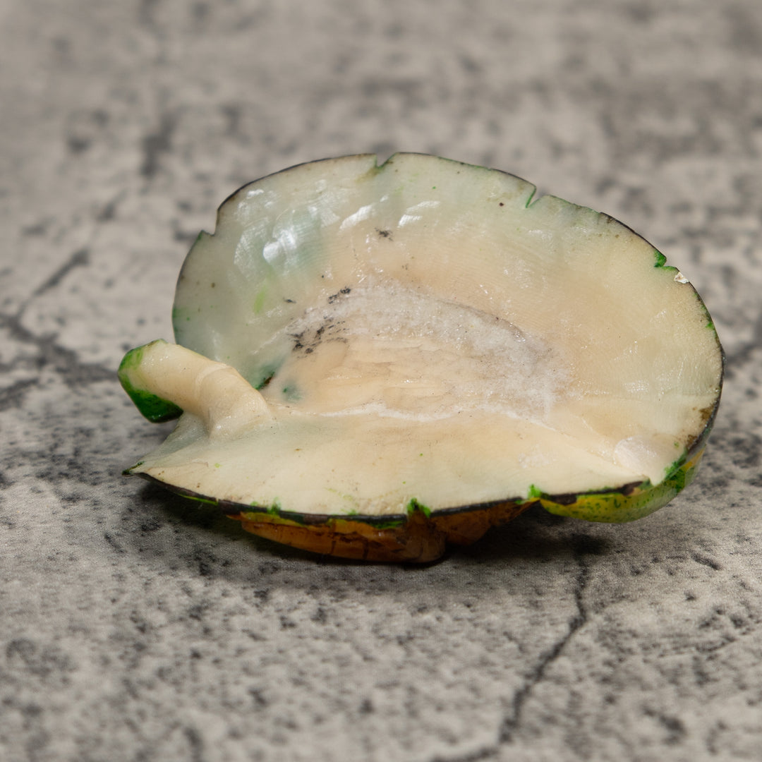 Black Yellow And Green Double Poison Dart Frog Tagua Carving