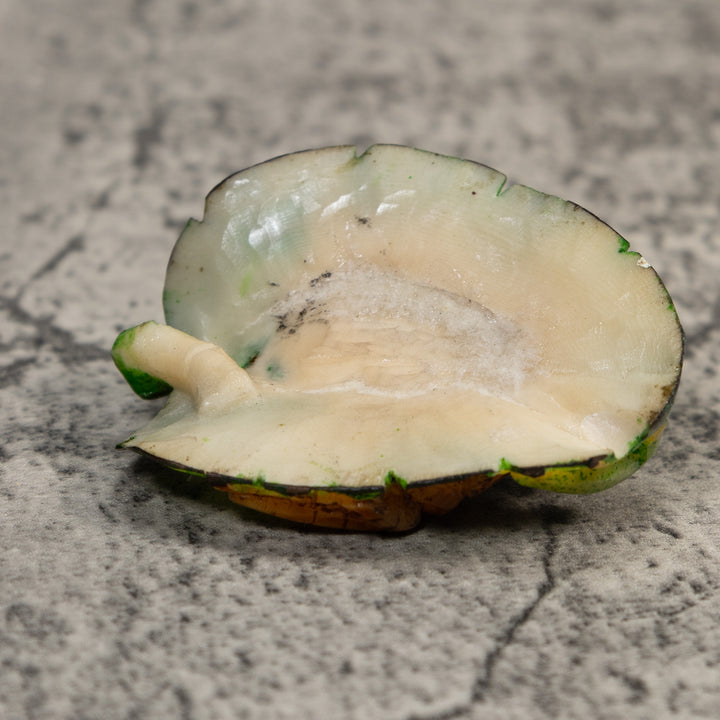 Black Yellow And Green Double Poison Dart Frog Tagua Carving