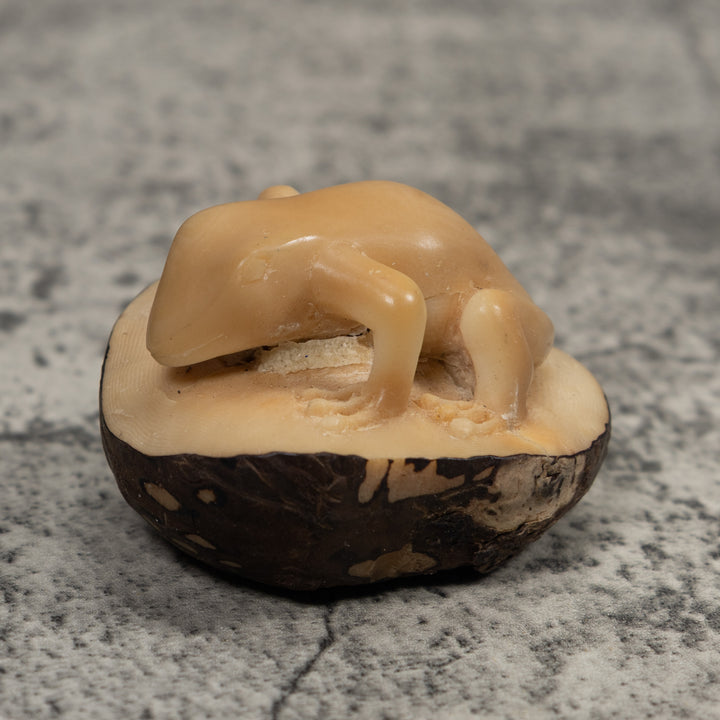 Vintage Natural White FrogTagua Carving