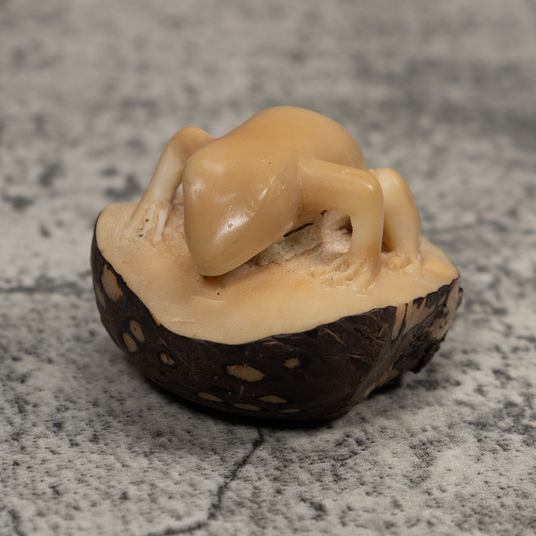 Vintage Natural White FrogTagua Carving