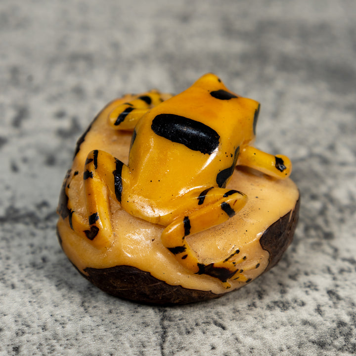 Vintage Black And Gold Poison Dart Frog Tagua Carving