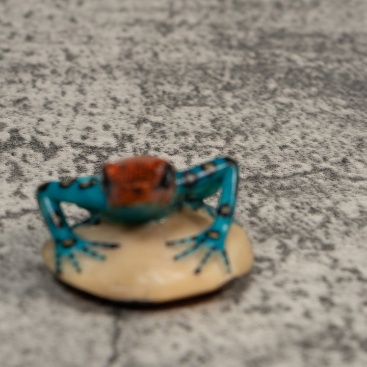 Black Blue And Red Poison Dart Frog Tagua Carving