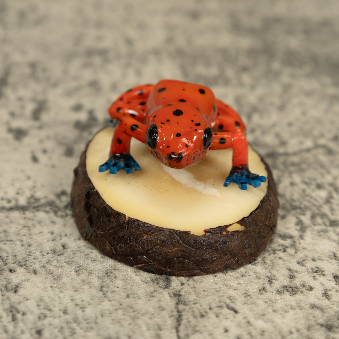 Red And Blue Poison Dart Frog Tagua Carving