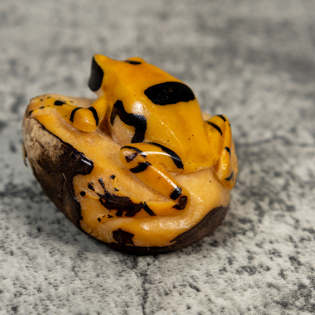 Vintage Black And Gold Poison Dart Frog Tagua Carving