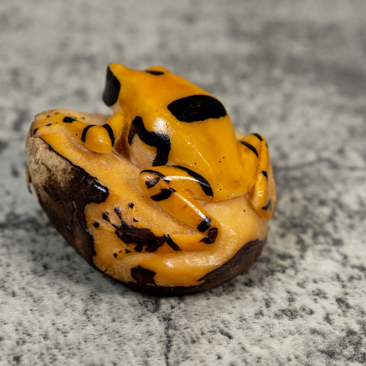 Vintage Black And Gold Poison Dart Frog Tagua Carving