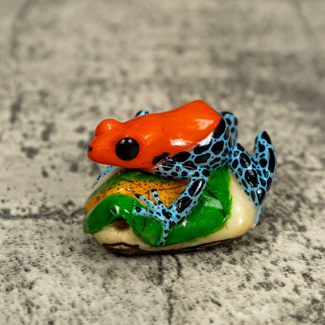 Blue Orange And Black Poison Dart Frog On Leaf Tagua Carving