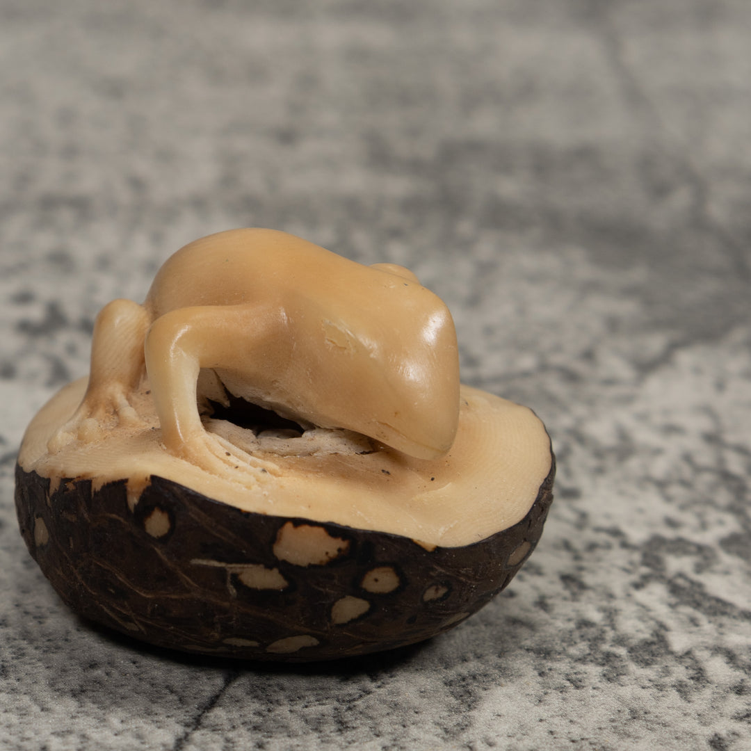 Vintage Natural White FrogTagua Carving