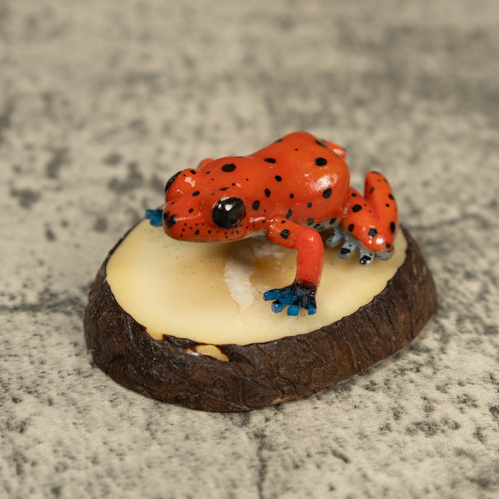Red And Blue Poison Dart Frog Tagua Carving