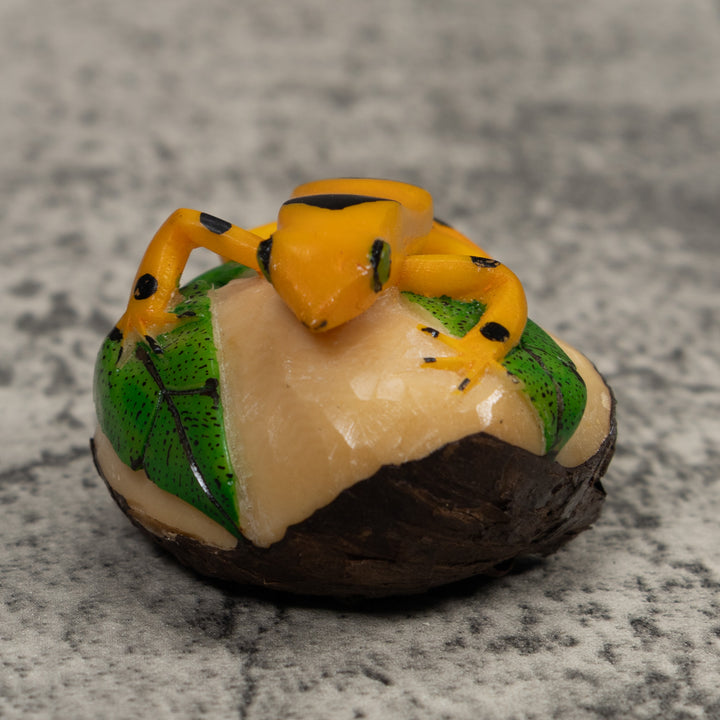 Golden Frog Tagua Carving