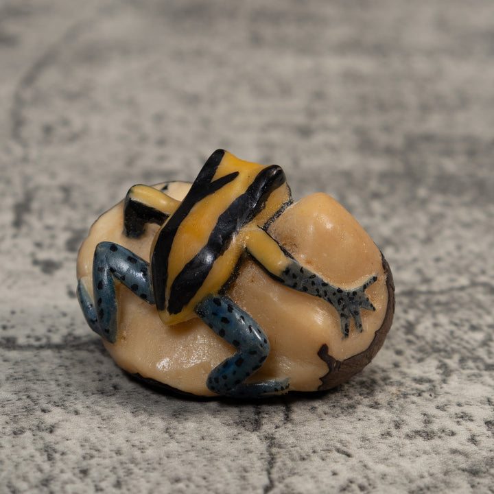 Vintage Yellow And Black Poison Dart Frog Tagua Carving