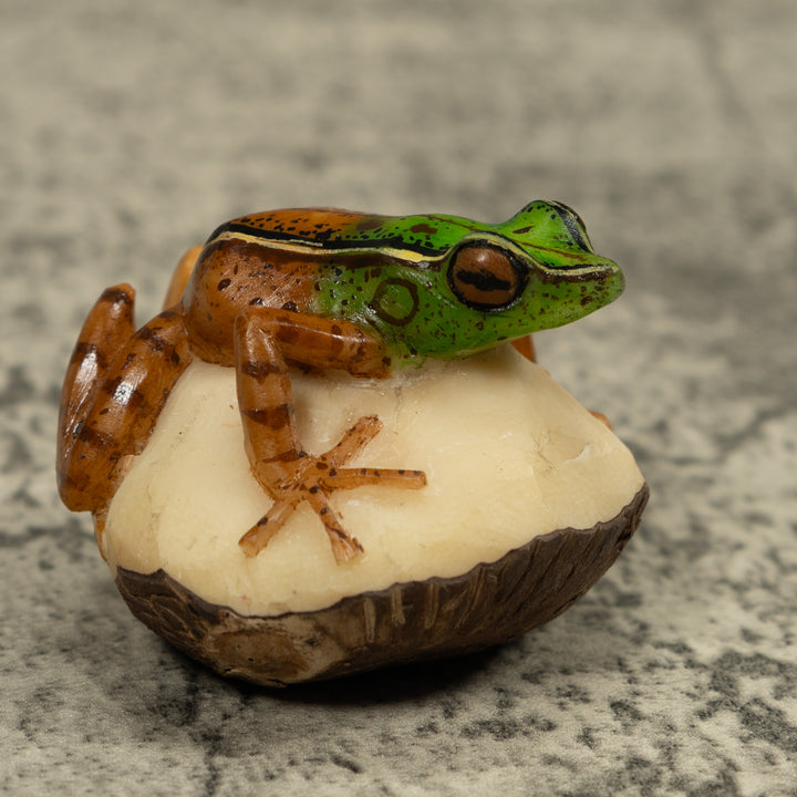 Poison Dart Frog Tagua Carving