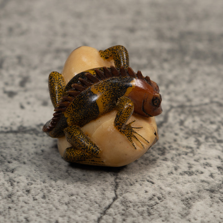 Brown And Black Iguana Lizard Tagua Carving