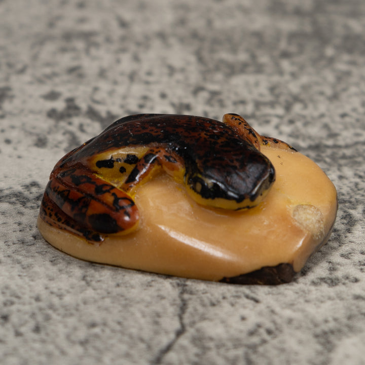 Vintage Brown And Black Frog Tagua Carving