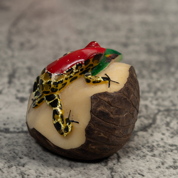 Red Yellow And Black Poison Dart Frog Tagua Carving