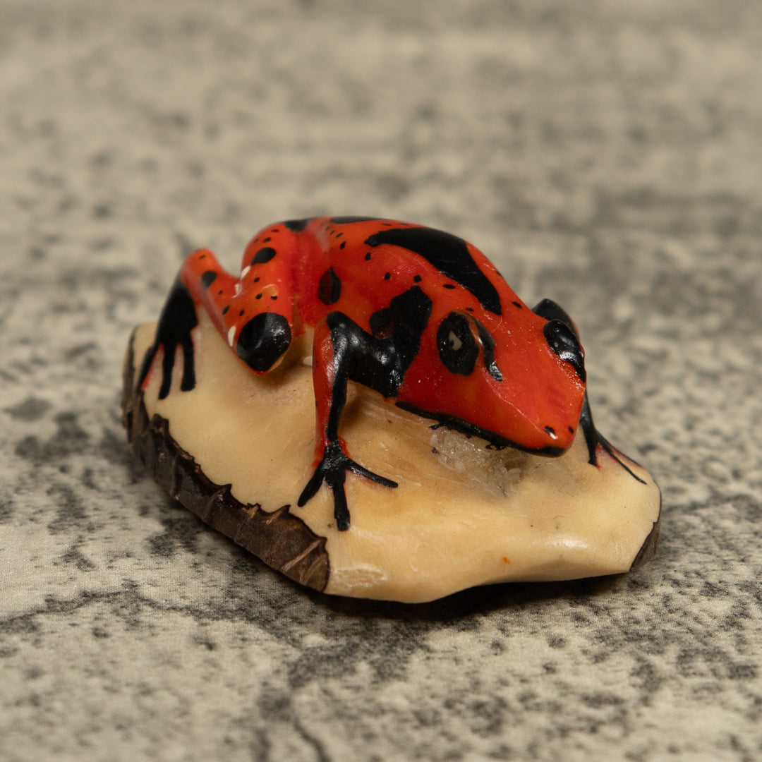 Vintage Poison Dart Frog Tagua Carving