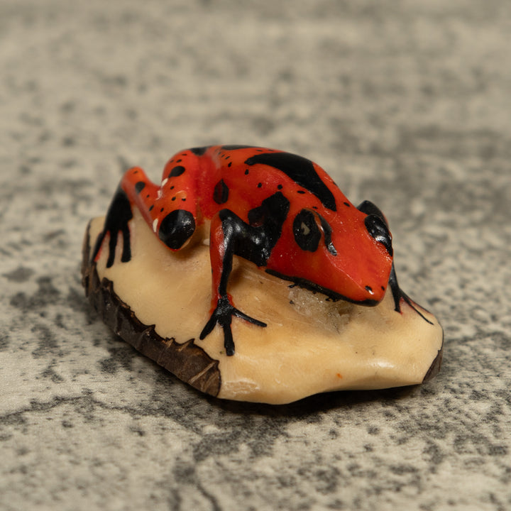 Vintage Poison Dart Frog Tagua Carving