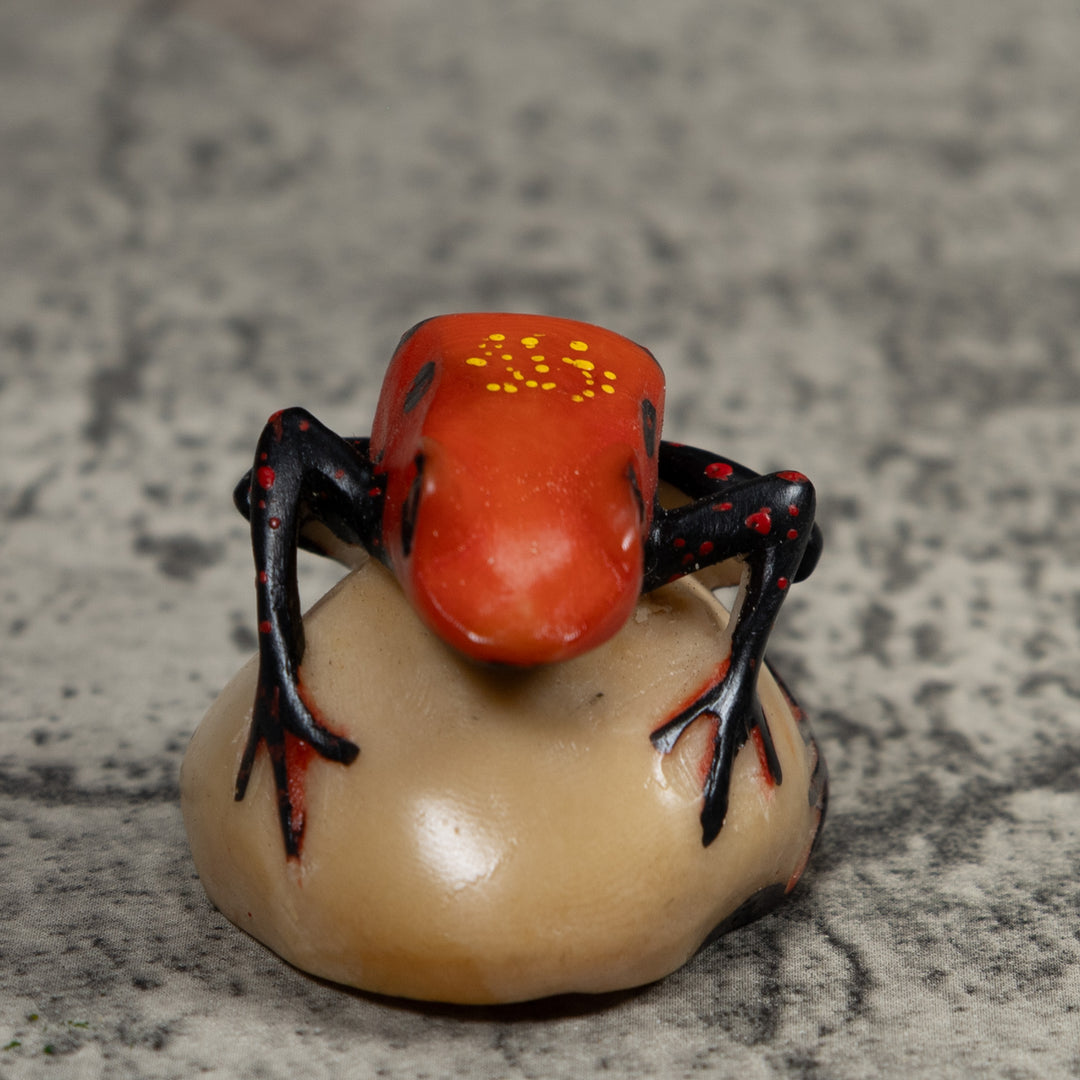 Vintage Poison Dart Frog Tagua Carving