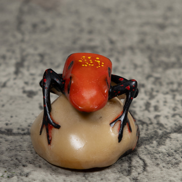 Vintage Poison Dart Frog Tagua Carving