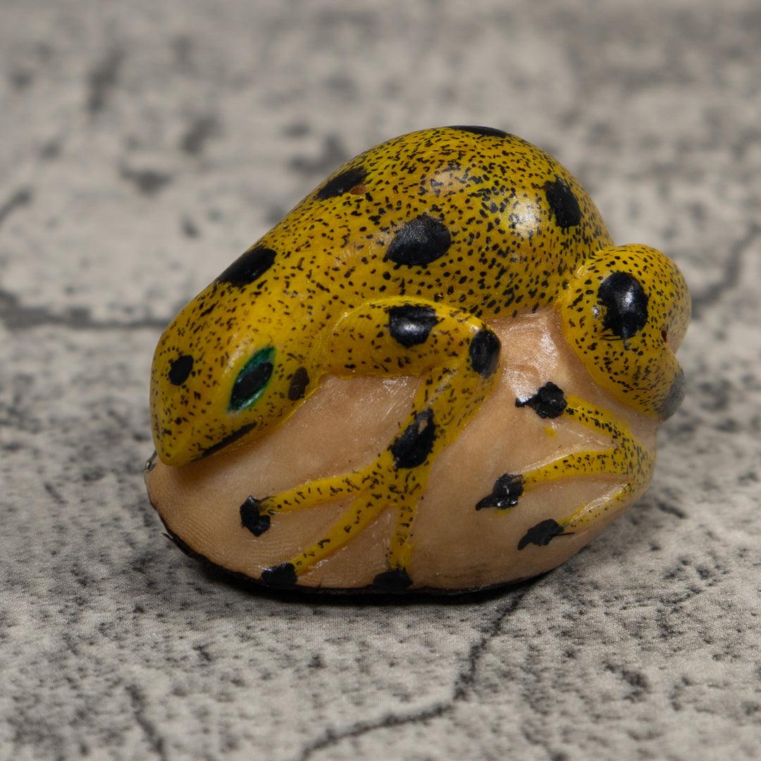 Vintage Black And Gold Frog Tagua Carving