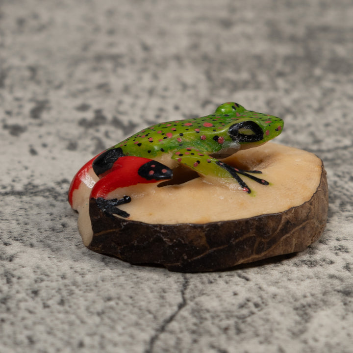 Red And Green Poison Dart Frog Tagua Carving